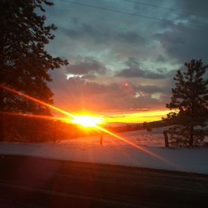 Meet your Posher, Anita